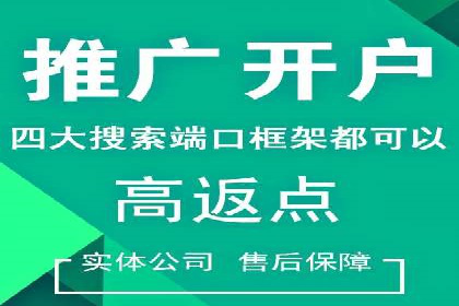 案例分析：SEM托管服务助力电商销量倍增